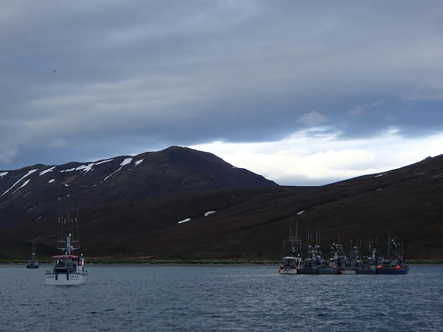 Mits Fish Co. fishing photo 2